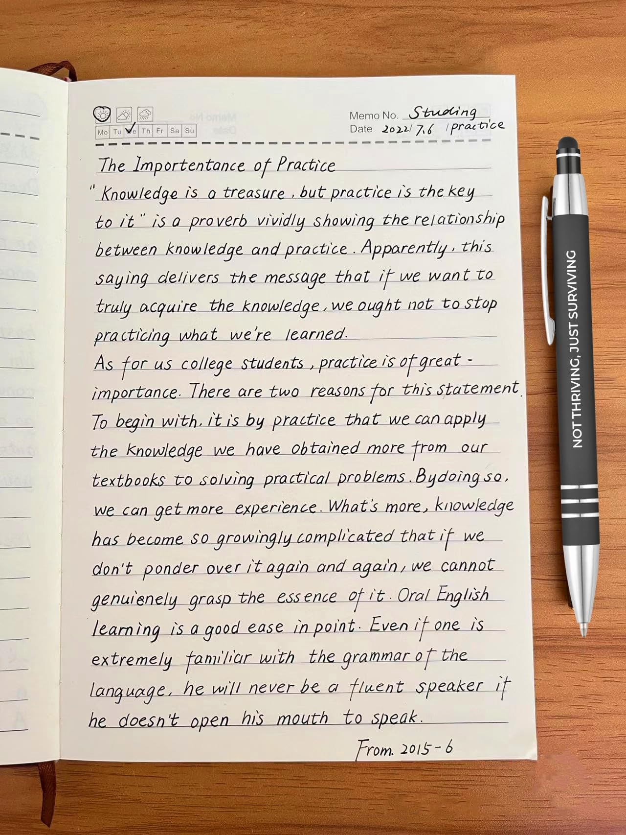 Funny Ballpoint Pens -Offensive Days Of The Week Pen Quotes, Funny Pen Set of 7 Adult Humor Pens, Sarcastic Daily Pen Set,Black Ink (7pcs week pens)